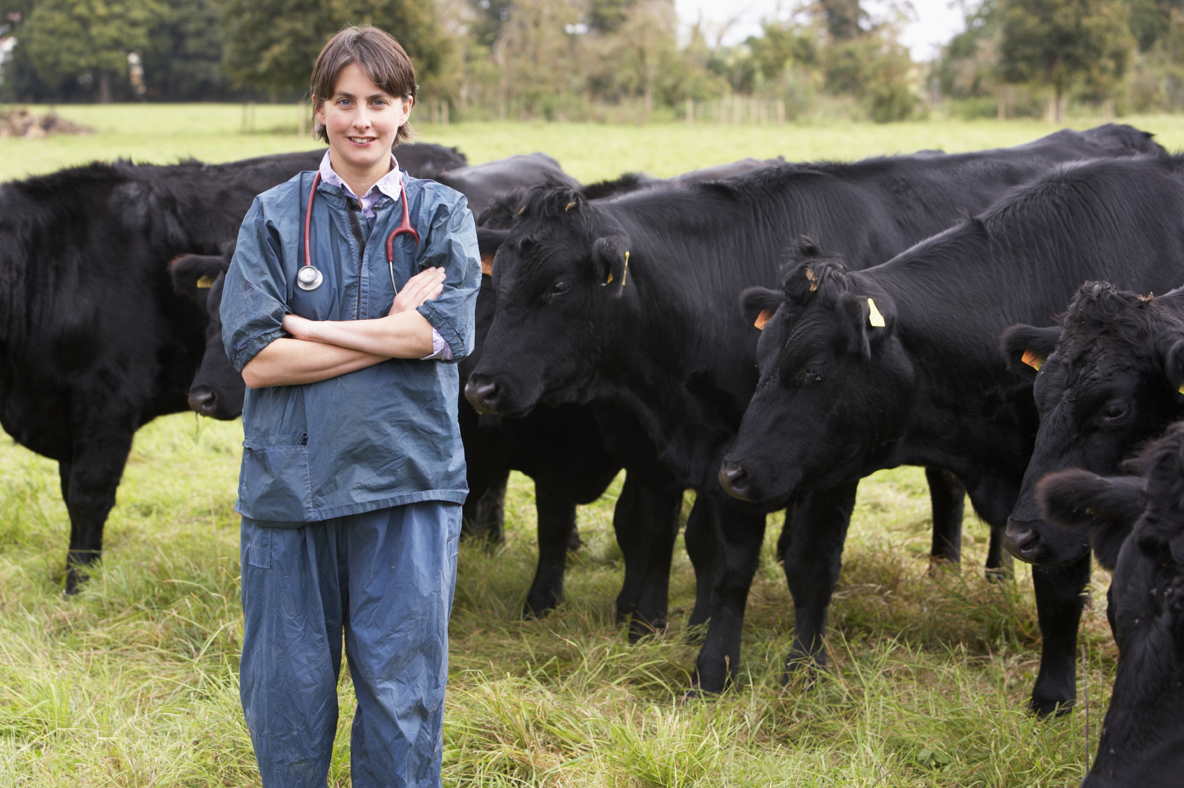 cattle-breeding-software-zooeasy