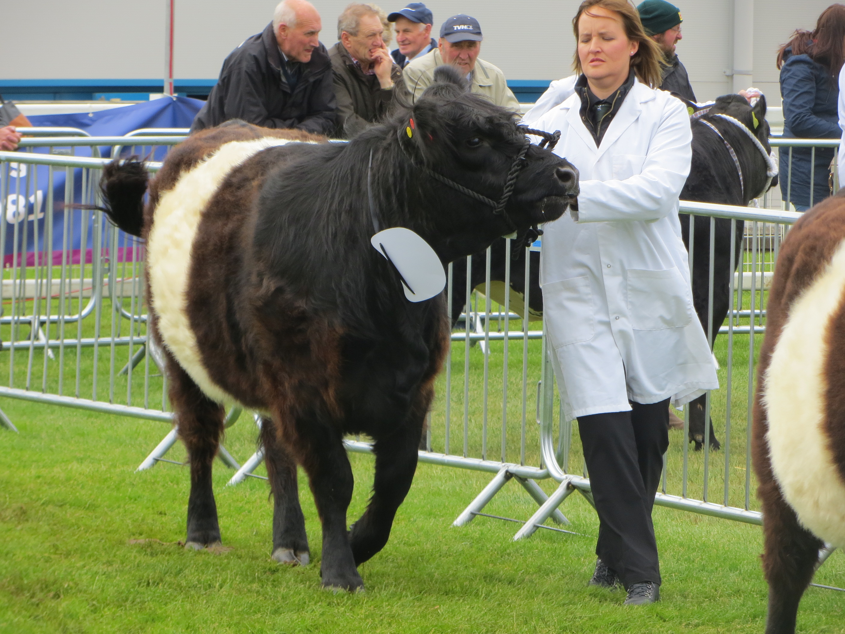 cattle-breeding-software-zooeasy
