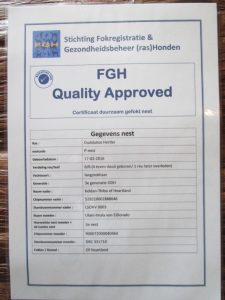 Quality Approved dogs FGH